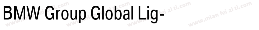 BMW Group Global Lig字体转换